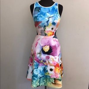 Clover Canyon Small Floral Aline Cutout Dress